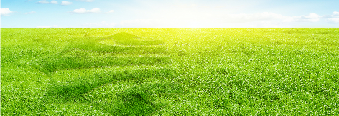 促進可持續發展節能減排